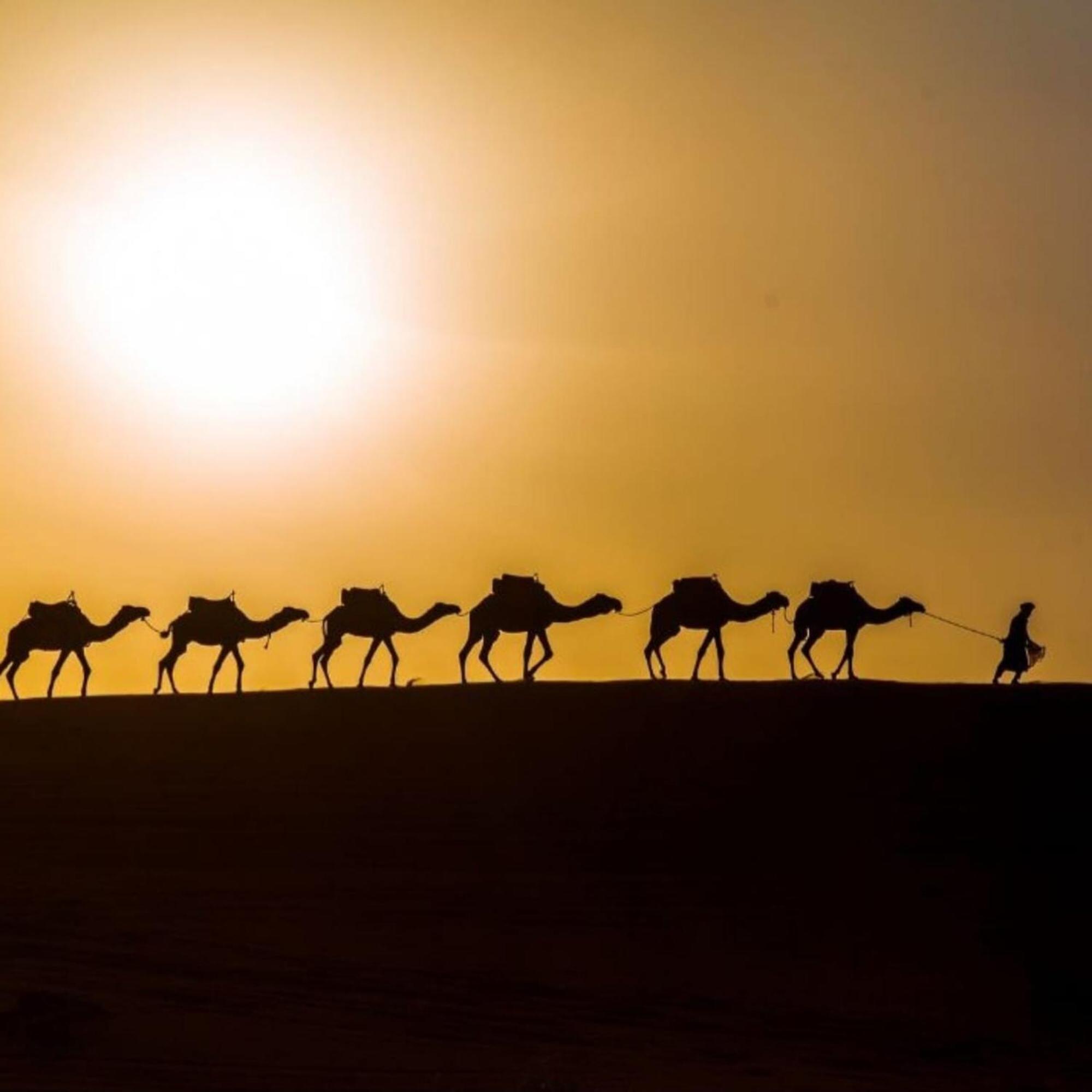 Hotel Unique Sahara Camp Merzouga Zewnętrze zdjęcie