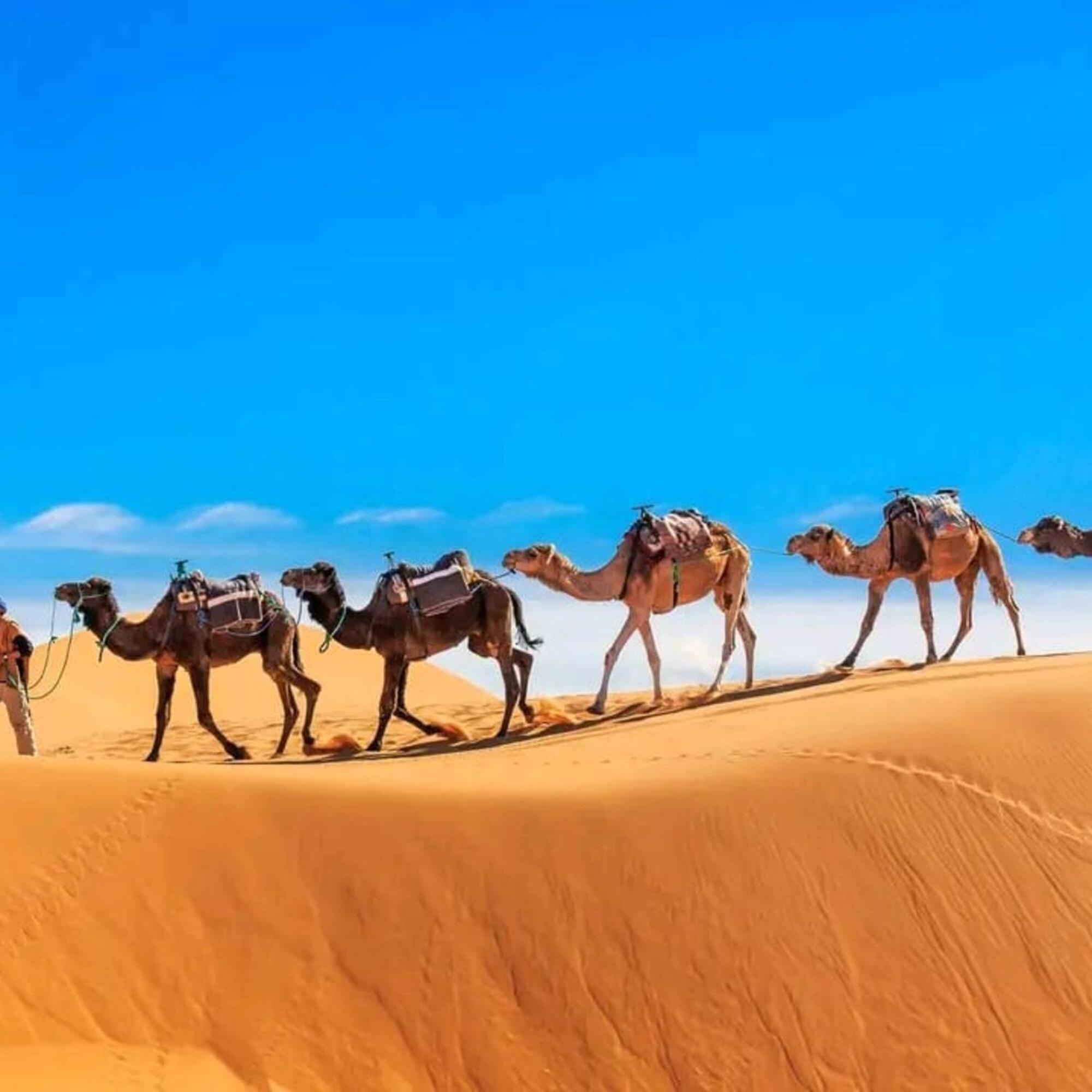 Hotel Unique Sahara Camp Merzouga Zewnętrze zdjęcie